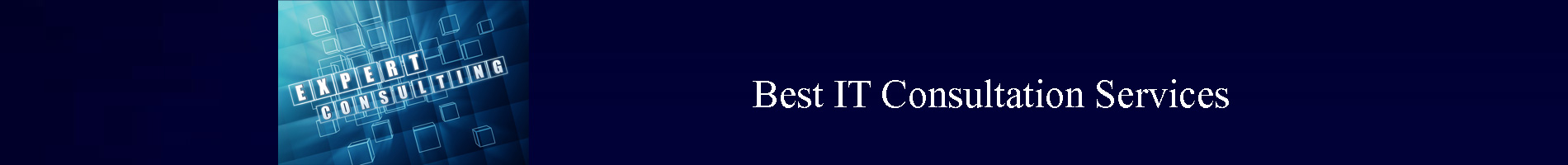 Best IT Consultation Company Kashmir